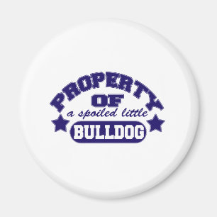 Eigentum einer Spolied Bulldogge Magnet