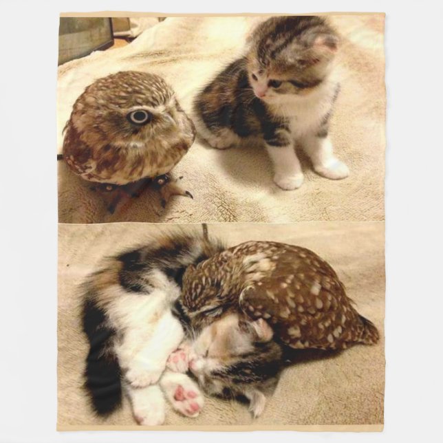 EIGENTÜMER SIND NUR KATZEN MIT FLÄCHEN FLEECEDECKE (Vorderseite)