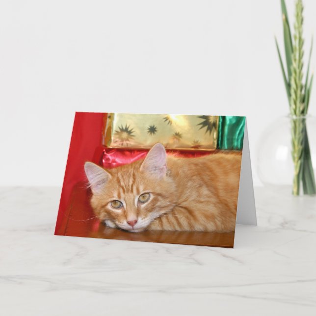 Eile Weihnachten (Vorderseite)