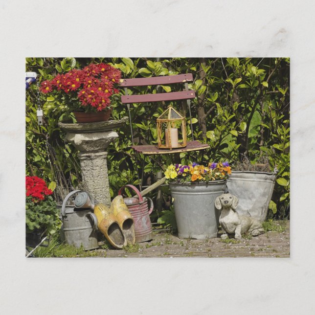 Eimer, Schuhe und Blume, Zaanse Schans, Postkarte (Vorderseite)