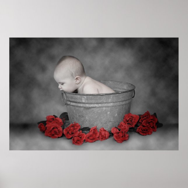 Eimer und Rose Poster (Vorne)