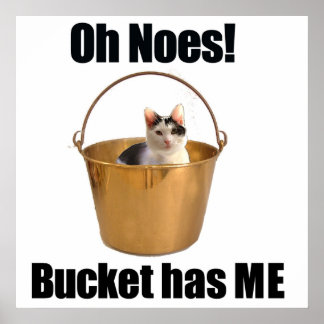 Eimerkatze Poster