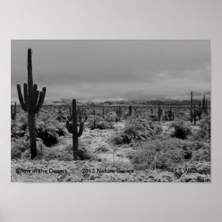 Ein 1 Druckschnee in der WüstenNature-Serie 2012 Poster