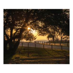 Ein Abend bei Whalehead Fotodruck