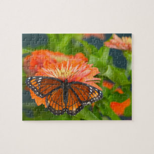 Ein Admiralfalter auf orangen Zinien Puzzle