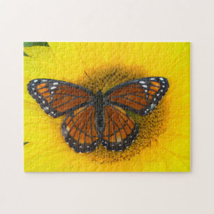 Ein Admiralfalter   Limenitis Archippus Puzzle
