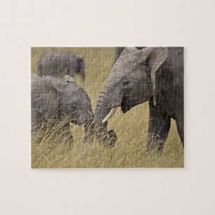 Ein Afrikanischer Elefant grast auf den Feldern Puzzle