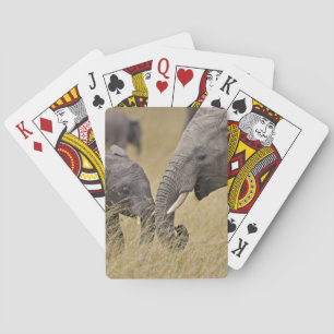 Ein Afrikanischer Elefant grast auf den Feldern Spielkarten
