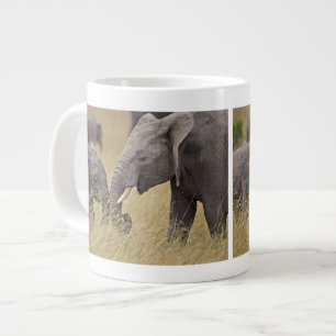 Ein afrikanischer Elefant weidet auf den Feldern Jumbo-Tasse