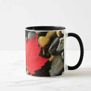 Ein Ahornblatt auf felsigem Hintergrund Tasse