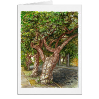 Ein alter Baum in L.A.