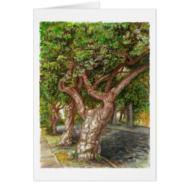 Ein alter Baum in L.A. (Vorne)