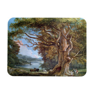 Ein alter Buchen-Baum, 1794 (Öl auf Leinwand) Magnet