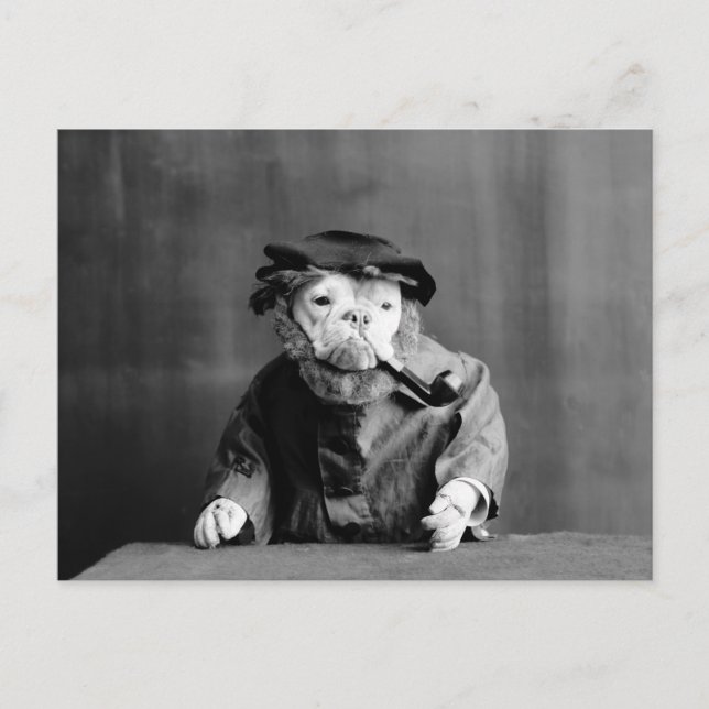 Ein alter Hund: 1905 Postkarte (Vorderseite)