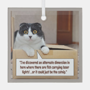 Ein alternativer Dimensions-Glasbaumschmuck Ornament Aus Glas