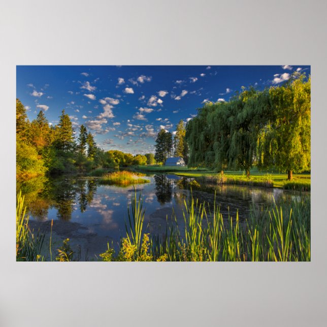 Ein Altwasser des Flathead River fängt den Morgen Poster (Vorne)