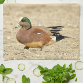 Ein amerikanisches Wigeon am Strand Geschirrtuch