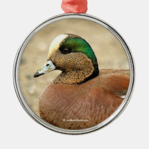 Ein amerikanisches Wigeon am Strand Silbernes Ornament