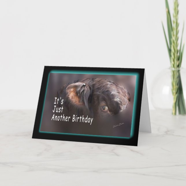 Ein anderer Geburtstag passt es an Karte (Vorderseite)