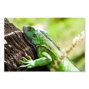 ein anderer grüner Tag Fotodruck