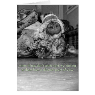 Ein anderer Standpunkt