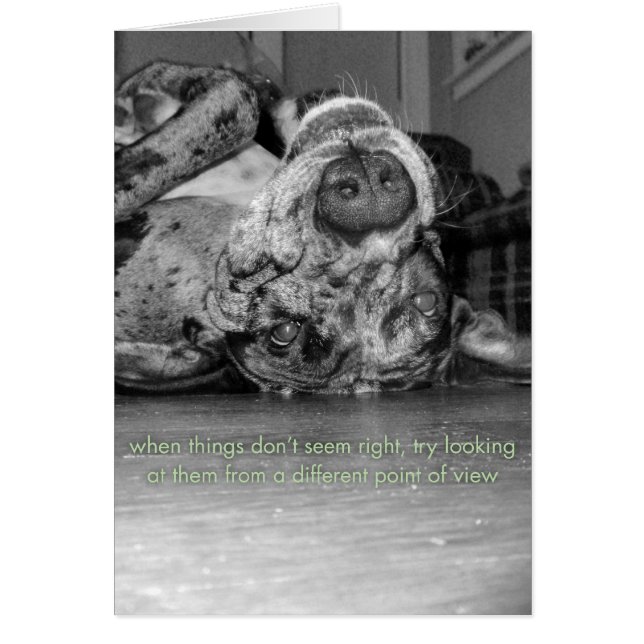 Ein anderer Standpunkt (Vorne)