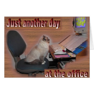 Ein anderer Tag im Büro