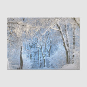 ein anderes Wintermärchenland Seidenpapier