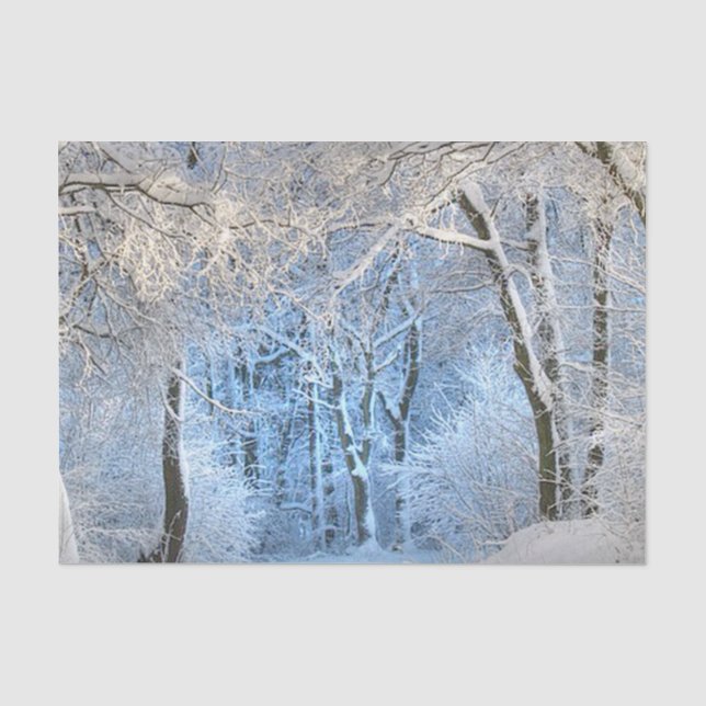 ein anderes Wintermärchenland Seidenpapier (Vorderseite)