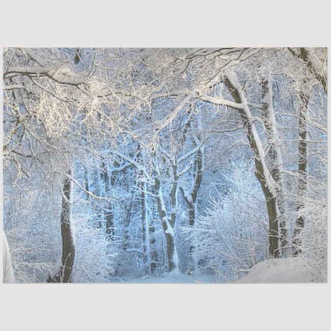 ein anderes Winterwunderland Seidenpapier (Vorderseite)