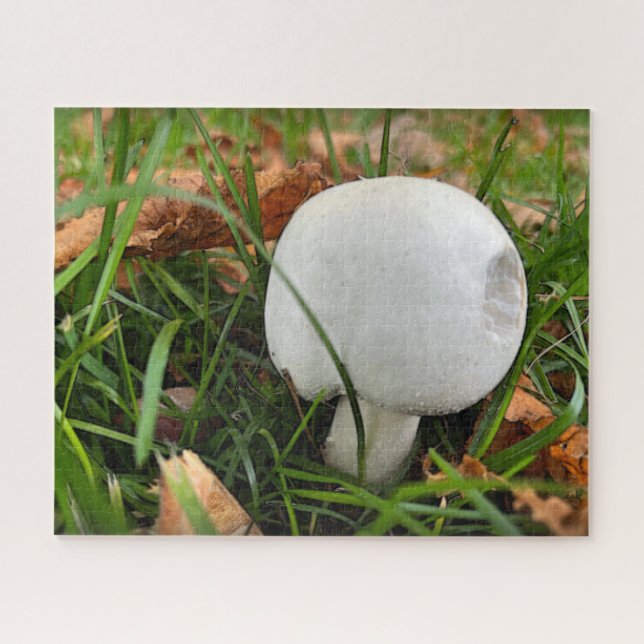 Ein angebissener Pilz Puzzle (Horizontal)
