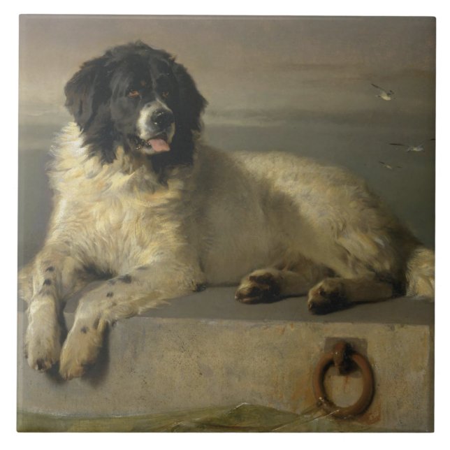 Ein angesehenes Mitglied der menschlichen Gesellsc Fliese (Vorderseite)