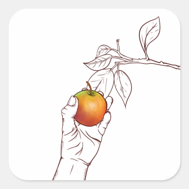 Ein Apfel pflücken Quadratischer Aufkleber (Vorderseite)
