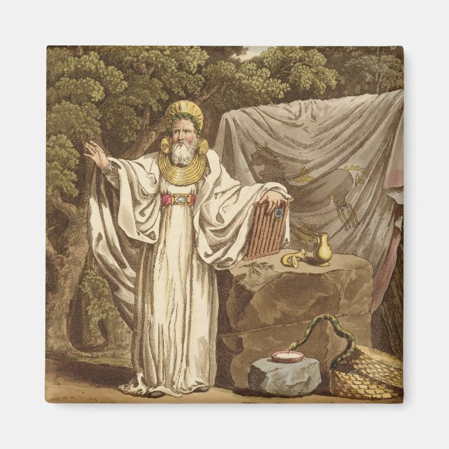 Ein Arch Druid in seinem gerichtlichen Gewohnheits Magnet (Vorne)
