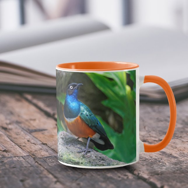 Ein Atemberaubender afrikanischer Superstar Starli Tasse (Stunning African Superb Starling on the Rock 11 oz Coffee Mug Cover Photo.)