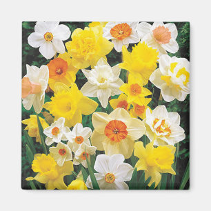 Ein Atemzug der Frühlingsdüster Kühlschrank Magnet