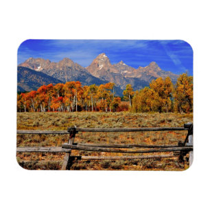 Ein Augenblick in Wyoming im Herbst Magnet