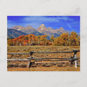Ein Augenblick in Wyoming im Herbst Postkarte