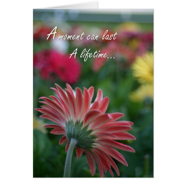 Ein Augenblick kann ein Leben lang einen rosa Geri (Vorne)