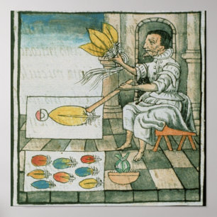 Ein aztekischer Federhandwerker Poster