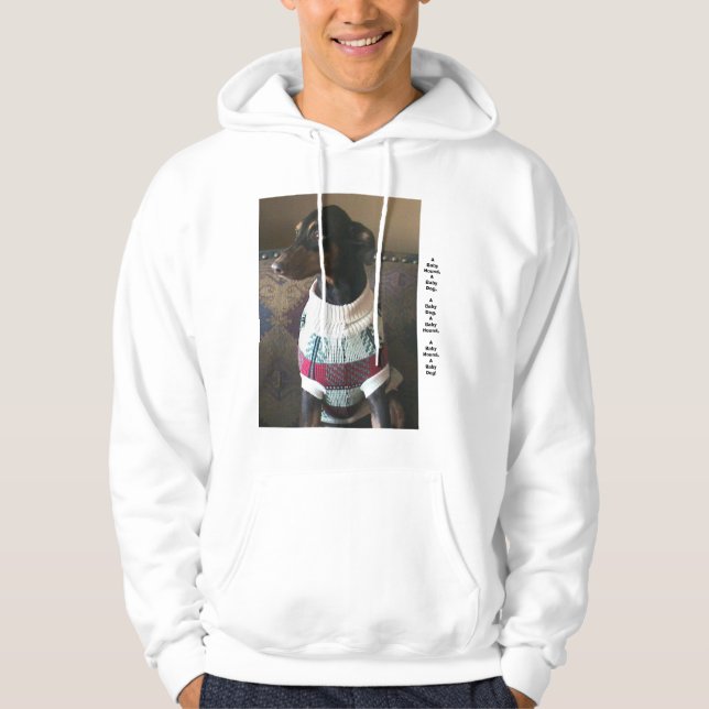 Ein Baby-Hund, ein Baby-Jagdhund! Hoodie (Vorderseite)