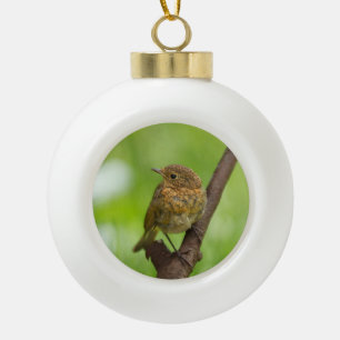 Ein Baby Robin auf einem Zweig Keramik Kugel-Ornament