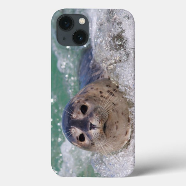 Ein Baby-Siegelsurfen Case-Mate iPhone Hülle (Rückseite)