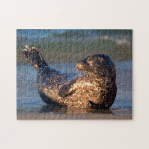 Ein Babyrobbe hebt den Schwanz Puzzle