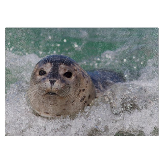 Ein Babysurfing im Siegel Schneidebrett (Vorderseite)