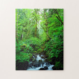 Ein Bach in einem Urwald Puzzle
