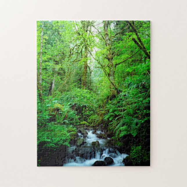 Ein Bach in einem Urwald Puzzle (Vertikal)