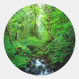 Ein Bach in einem Urwald Runder Aufkleber