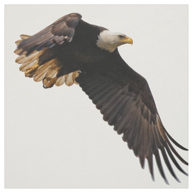 Ein Bald-Adler geht zum Himmel Stoff (Muster)