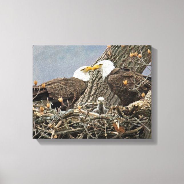 Ein Bald Eagle-Familienportrait Leinwanddruck (Vorderseite)